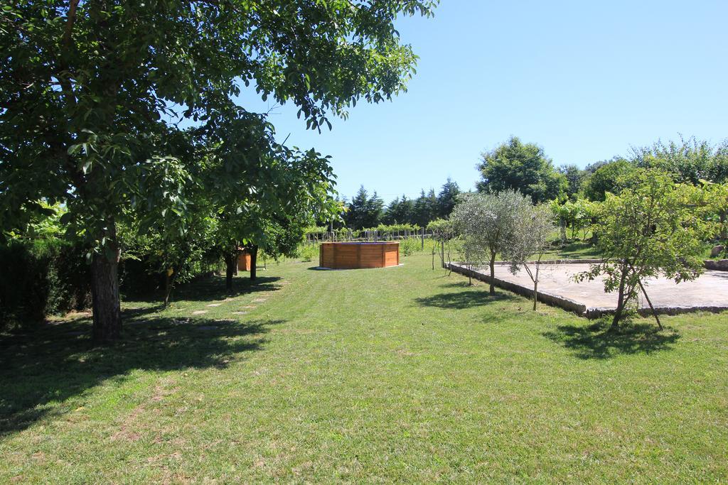 Quinta Miranda Βίλα Geraz do Lima Εξωτερικό φωτογραφία